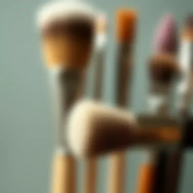 Choosing the Right Brushes for Dry Brushing Different types of brushes suitable for dry brushing