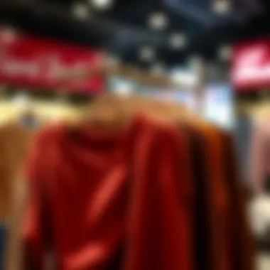 A Palette of Seasonal Styles Seasonal display of low-shoulder sweaters in various colors