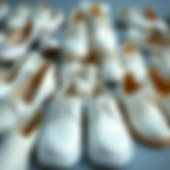 Diverse Styles of Flat White Shoes in Creative Arrangement Diverse styles of flat white shoes arranged creatively