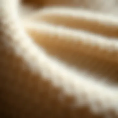 Close-up of a high-quality wool fabric used in sweaters