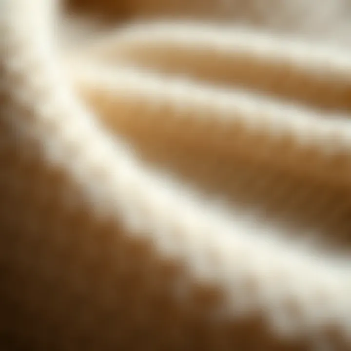 Close-up of a high-quality wool fabric used in sweaters