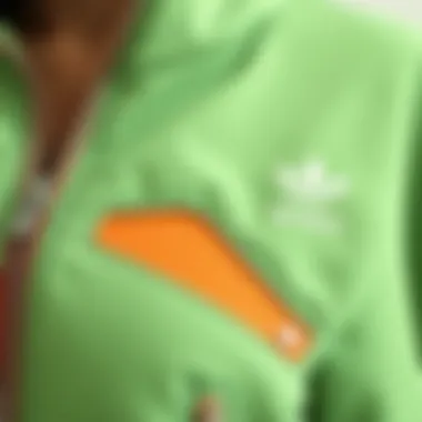 Current Color Trends for Zippered Feraces A color palette showcasing trendy hues for feraces