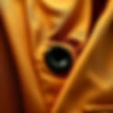 Close-up of trench coat fabric showcasing quality