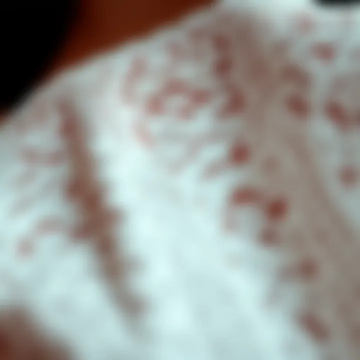 Intricate Design Details of Hasema Mayo Close-up of intricate design details of Hasema mayo