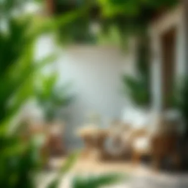 Relaxed Setting with Hasema Mayo Options Relaxed setting featuring various Hasema mayo options