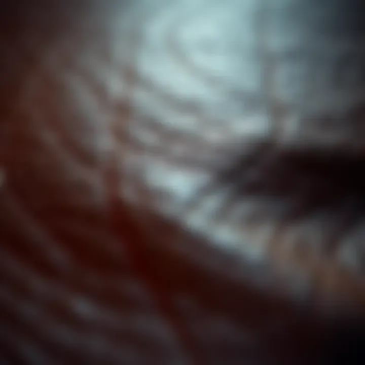 Close-up of plush leather texture revealing quality and design
