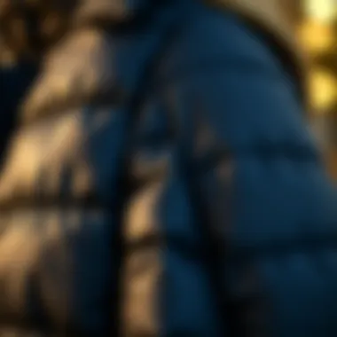 Texture Details of a Trendy Quilted Vest Close-up of the texture of a quilted puffer vest