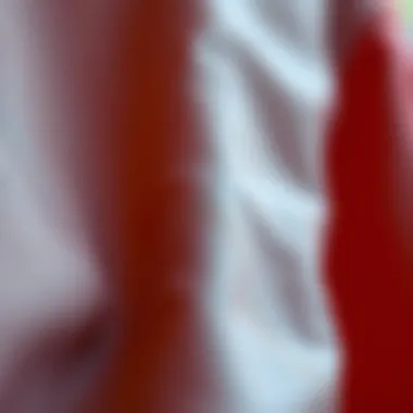 Close-up of durable fabric used in kapitoneli kap