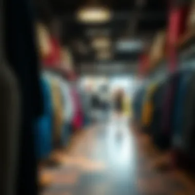 Cozy Shopping Environment A cozy shopping environment showcasing diverse clothing styles
