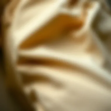 Exploring Fabric Textures in High-Waisted Fashion Close-up of fabric textures used in high-waisted trousers