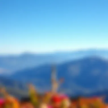 A picturesque landscape of blue-hued mountains and valleys in Turkey.