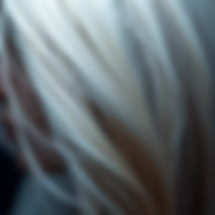 Radiant Shine of Healthy Platinum Hair Close-up of healthy platinum hair with shine