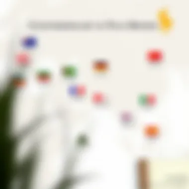 Map highlighting the countries of origin for various polo brands