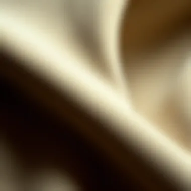 Texture and Quality of Suede Close-up of suede fabric showcasing texture and quality