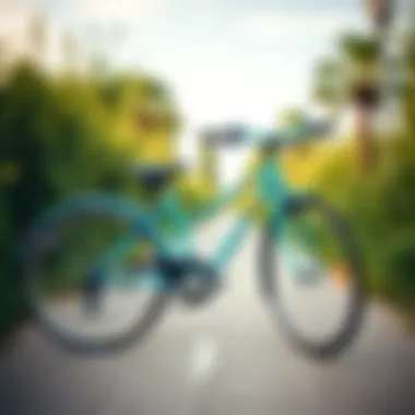 On the Move: The Turquoise Bicycle Adventure A scenic pathway featuring a turquoise bicycle in motion